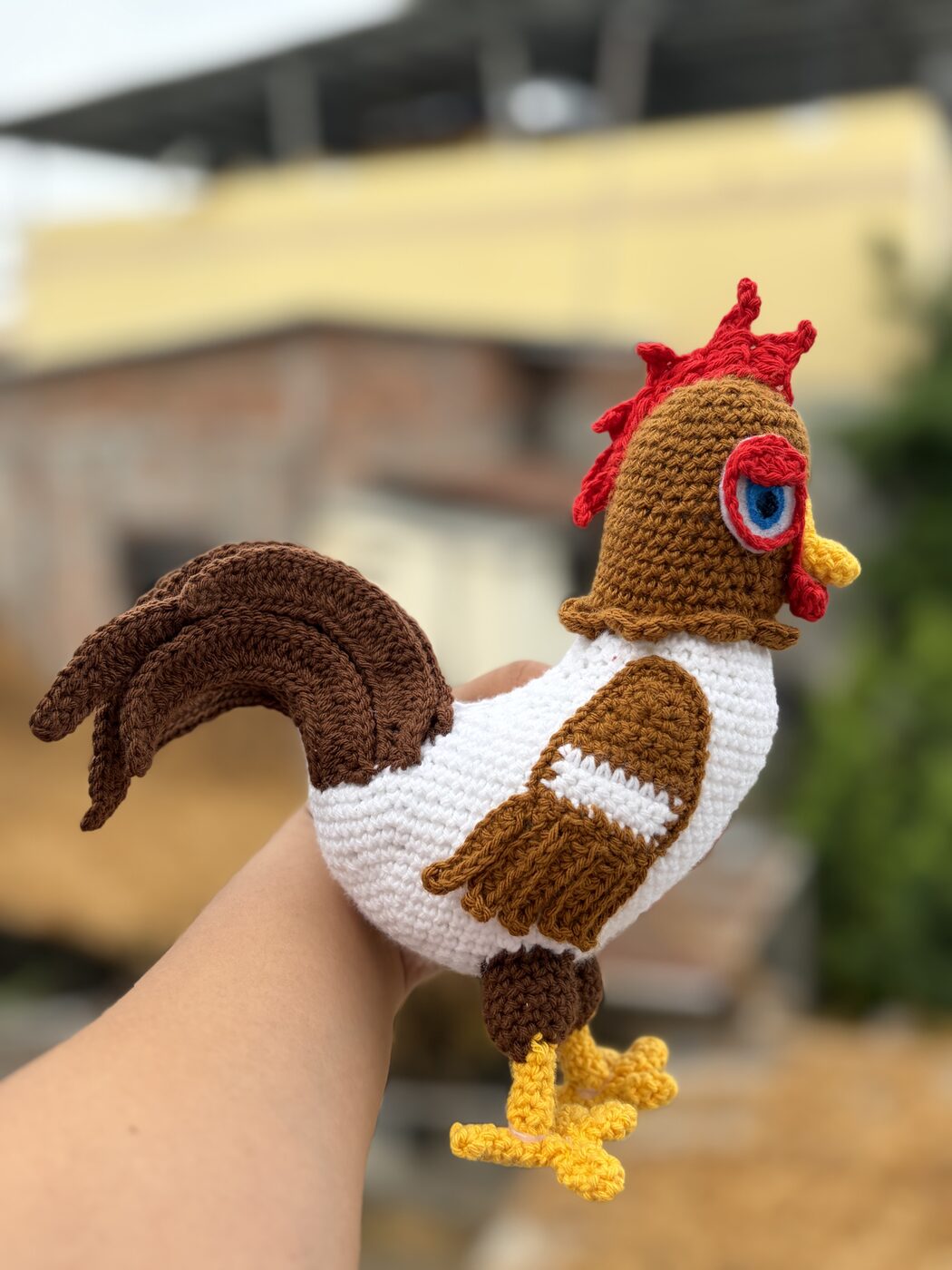 Gallito