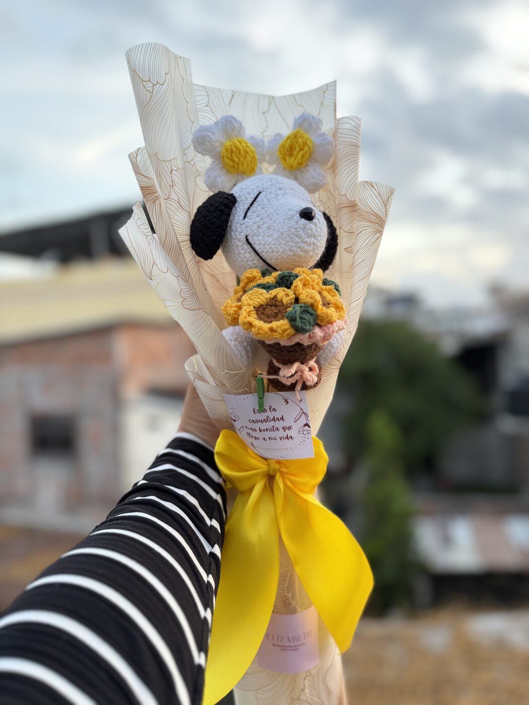 Ramo de Snoopy y margaritas